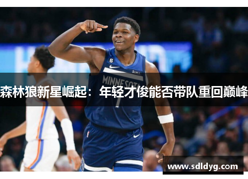 森林狼新星崛起：年轻才俊能否带队重回巅峰